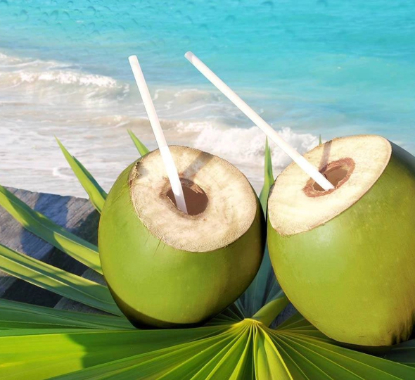 10 Surprising Facts About Coconut